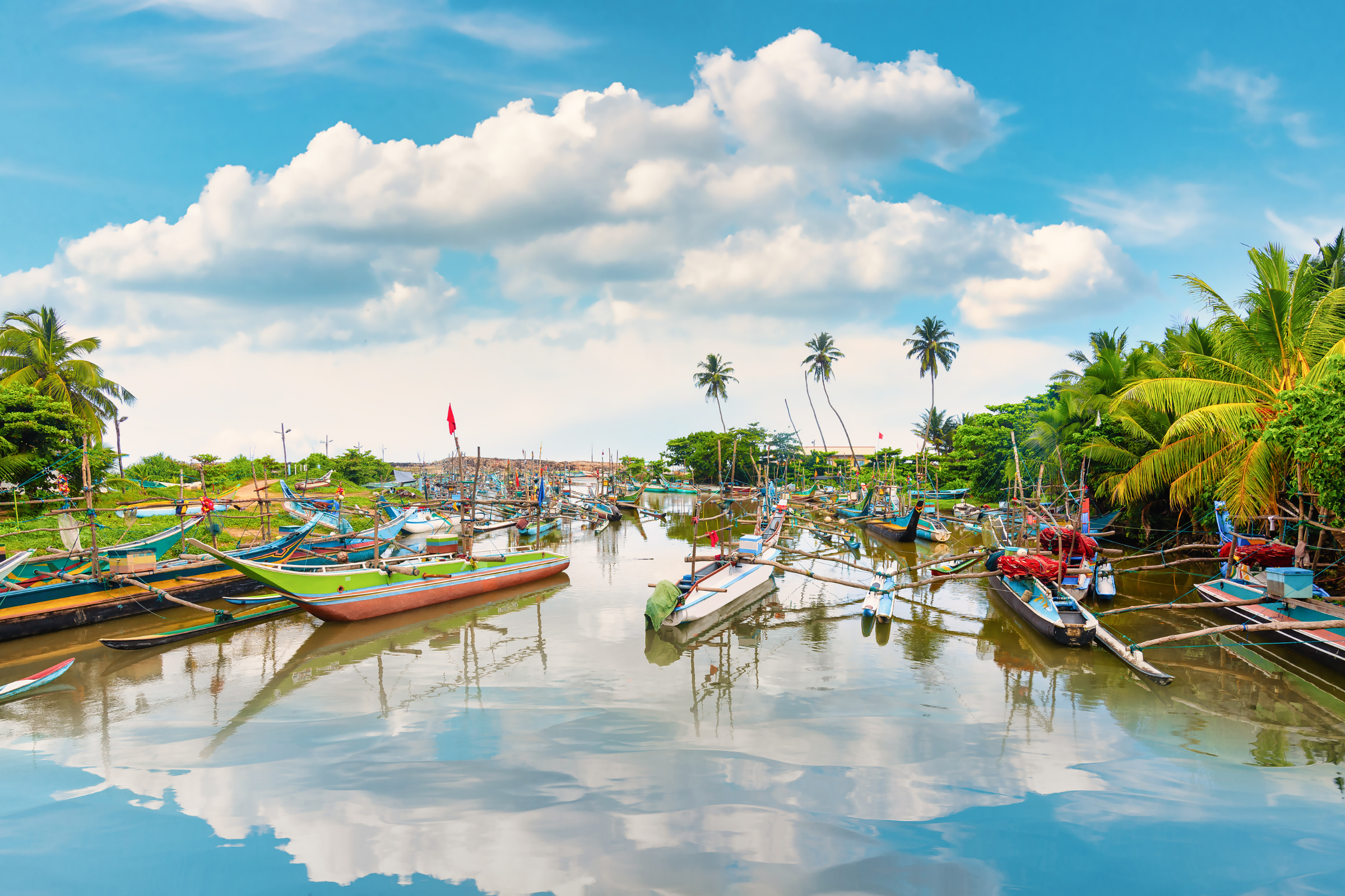 habarana (4).webp